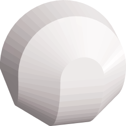 sphericon 10_2_H.png