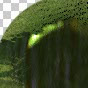 mossy glass.jpg